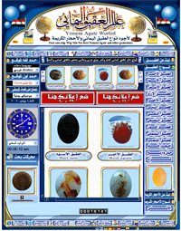 الصفحة الرئيسية... Home